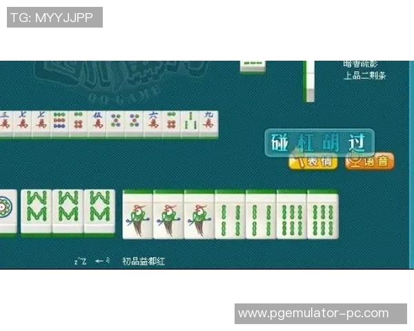 pg麻将胡了2下载链接-探索PG麻将胡了2，下载链接及相关解读-pg麻将胡了2下载链接