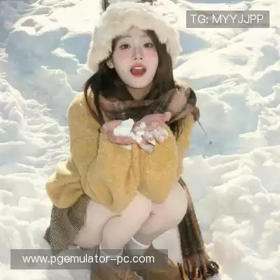 梅鹃仪